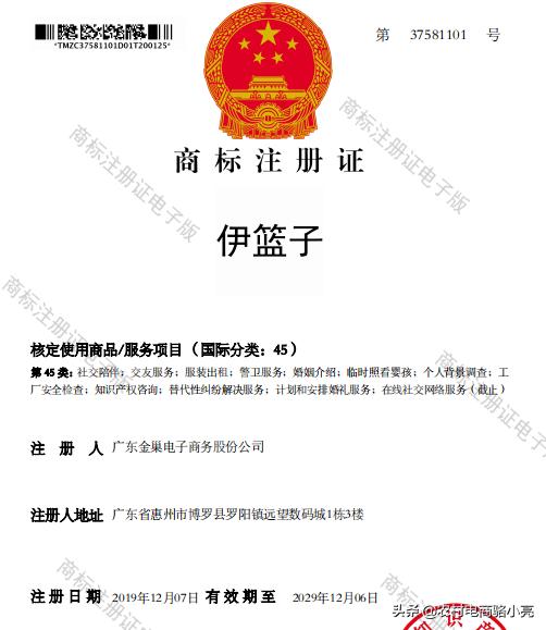 广东金巢电子商务股份公司发展历程和简介