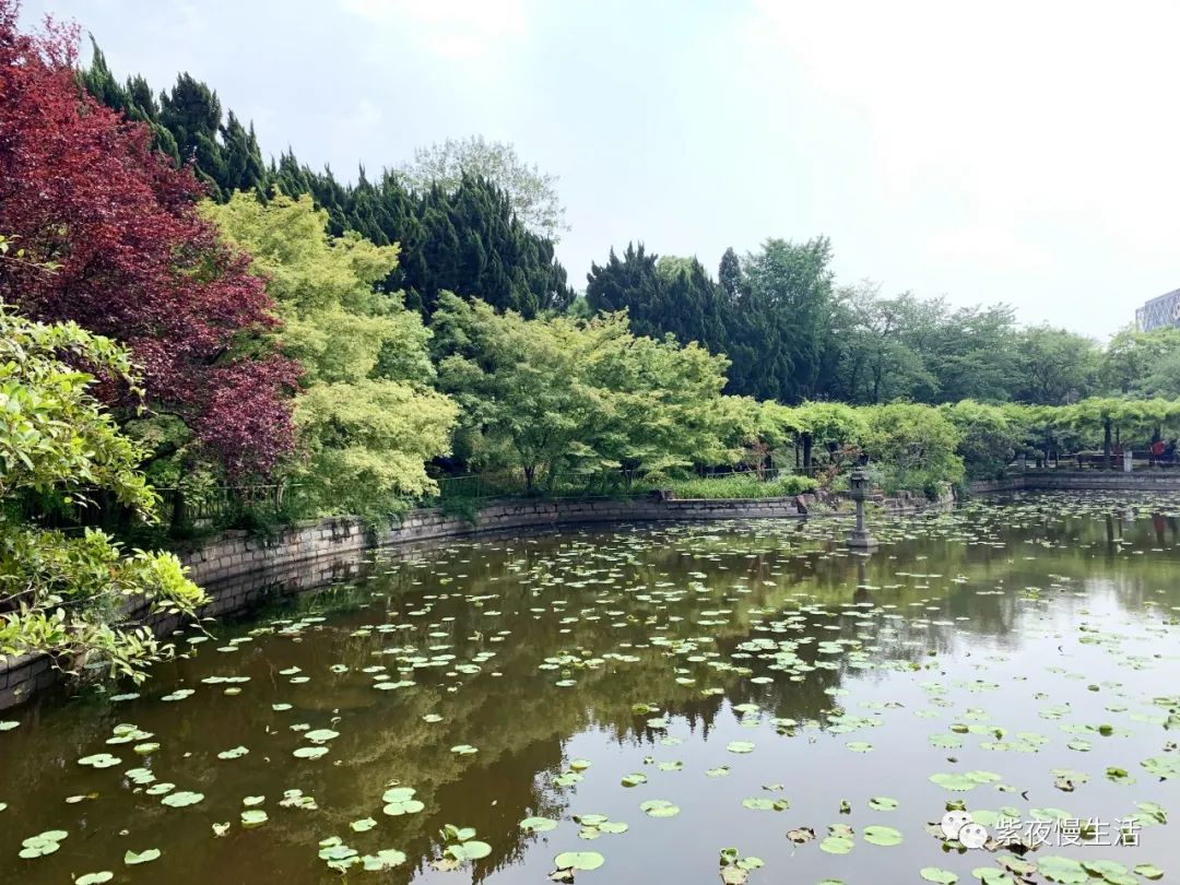 慢生活惬意悠闲,悠闲惬意上海