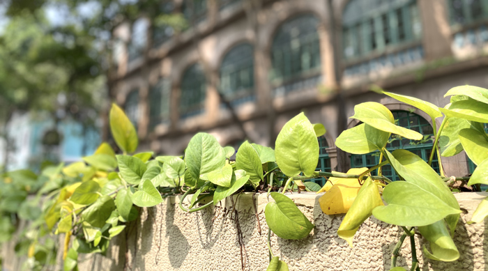 广州旅游全攻略跨年,广州逛吃美食攻略