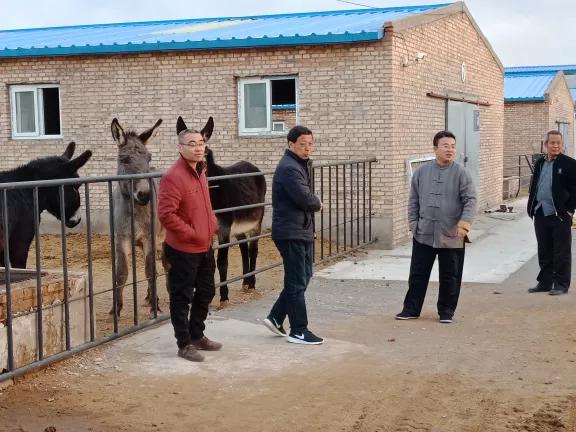 真好！一年挣一百多万元。阳原这个地方的人钱袋子鼓起来了