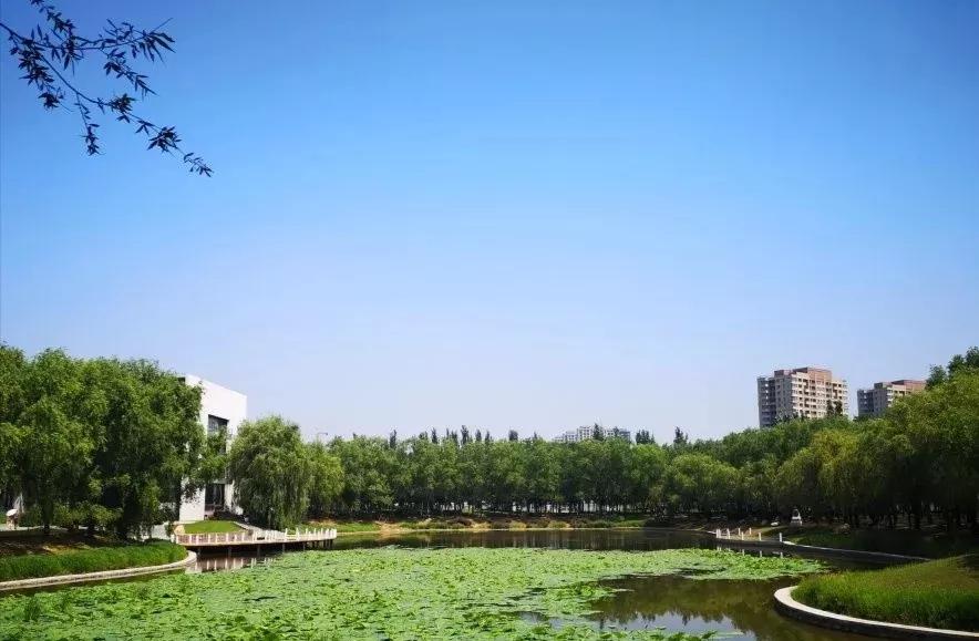辽宁省内大学排名沈阳医学院,辽宁省沈阳医学院前景