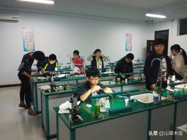 洛阳市欧亚国际学院,洛阳欧亚国际学院怎么样