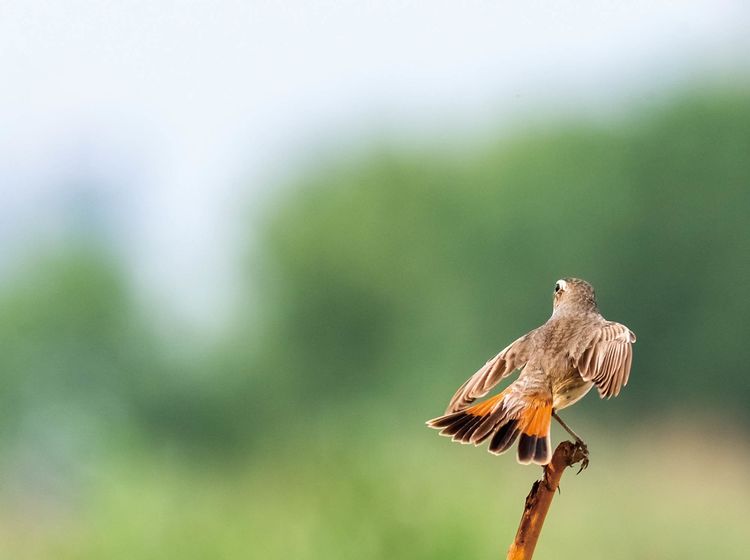 情人岛拍摄地点,情人岛航拍视频