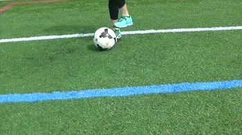 郑东新区体育训练营,郑东新区暑假训练营