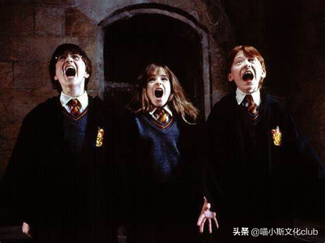 哈利波特出现猫头鹰,哈利波特为什么每个人都有猫头鹰