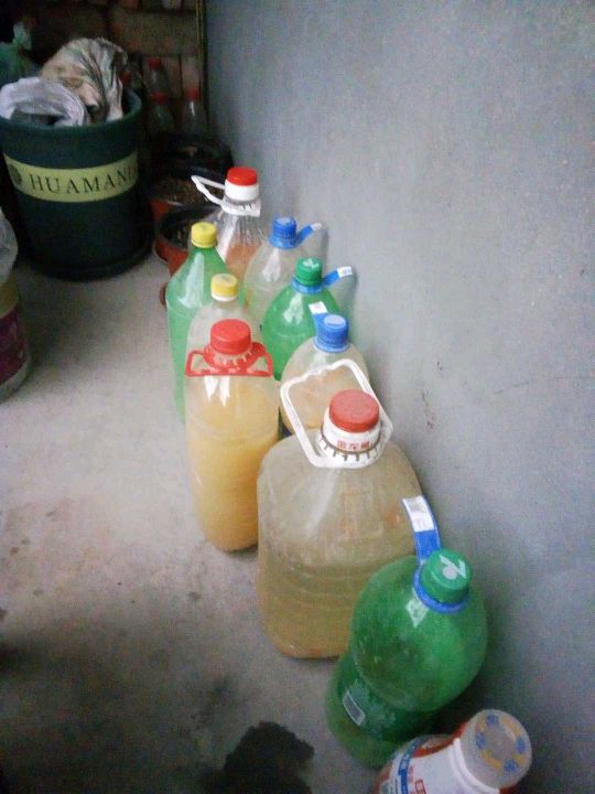 发酵的淘米水臭了可以种菜吗,淘米水发酵后臭的能用吗