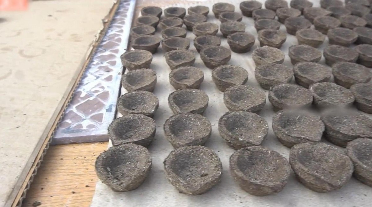 印度的牛粪饼多少钱一盒,印度的牛粪饼在中国也有卖吗