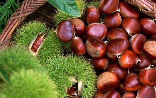 正宗章丘特产手打铁锅,山东章丘特产有哪些