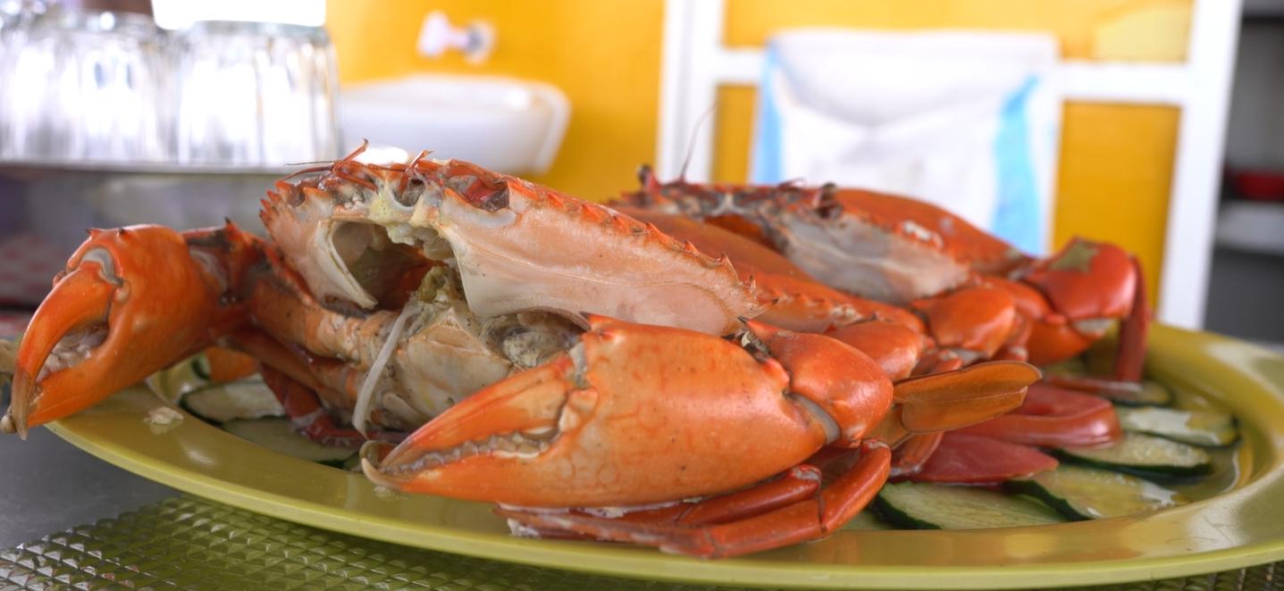 玩转沙巴海钓攻略,沙巴近海海钓