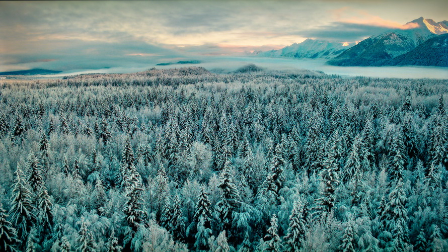 创维酷开p50是真4k吗,创维酷开p5065寸价格