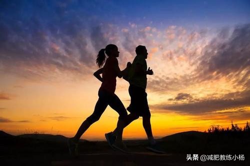 易胖体质饮食应该注意些什么事项,易胖体质健身该如何饮食呢