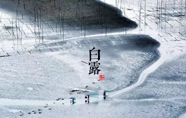 24节气适合喝什么茶,一年最热的节气宜喝什么茶