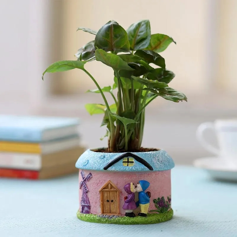 合果芋适合在室内养吗,合果芋黄叶怎么办