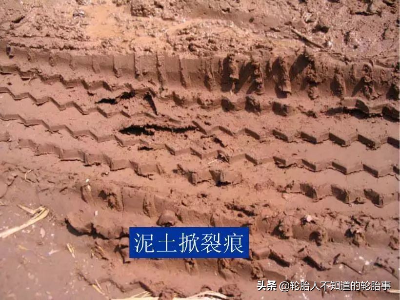 轮胎定期检查报告模板,轮胎磨损技术报告