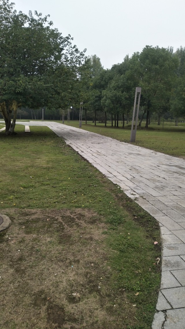 南阳李宁体育园的健身房,李宁体育园南阳