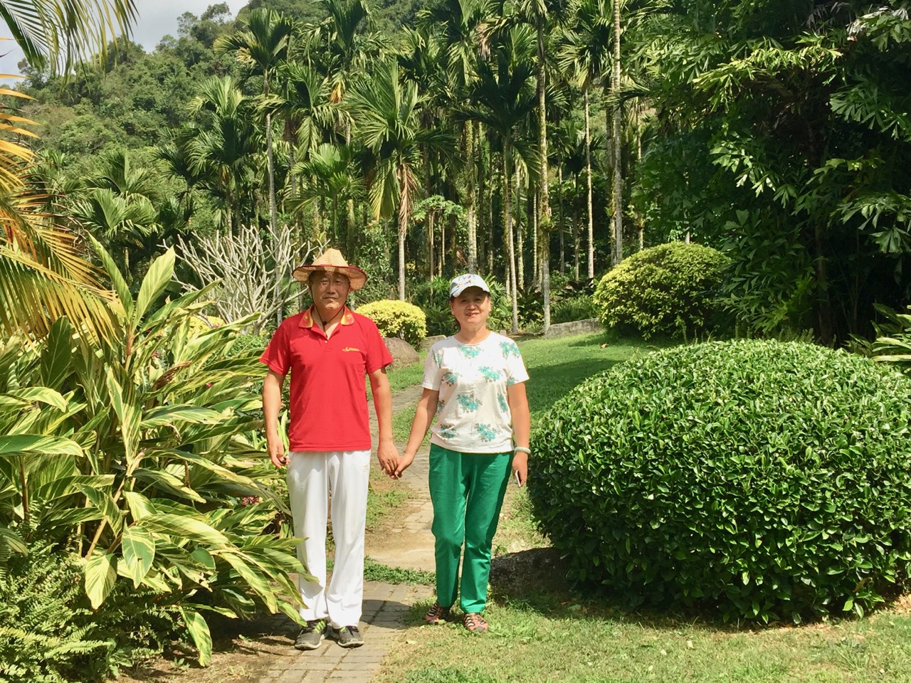 海南候鸟旅行,内陆候鸟自驾海南过冬