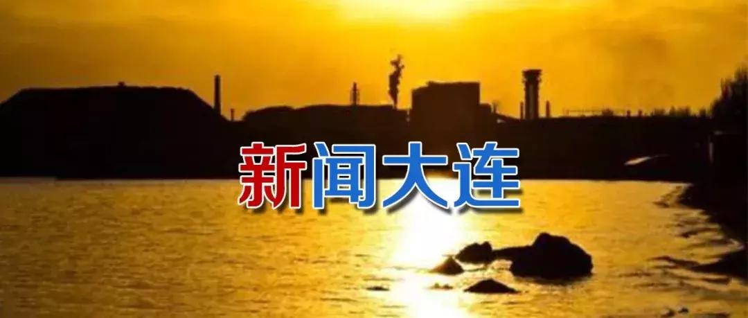 大化集团破产重整计划,大连大化重组后最新消息
