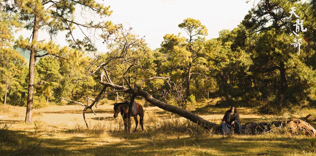 天龙八部翻拍最新,新天龙八部翻拍最油的一版