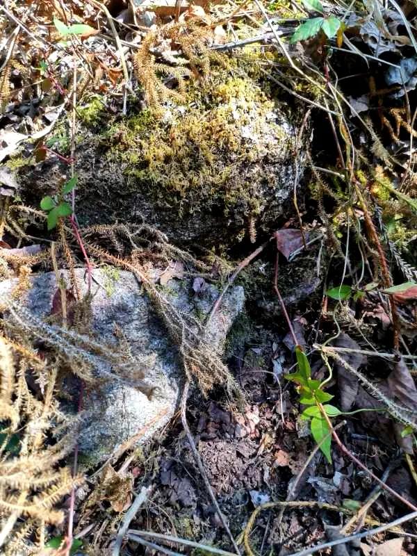 腾冲高山草甸景点,腾冲高原草场