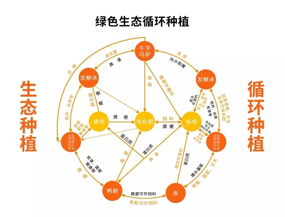 守着20000亩橙子园，他说：一年好景君需记，最是橙黄橘绿时