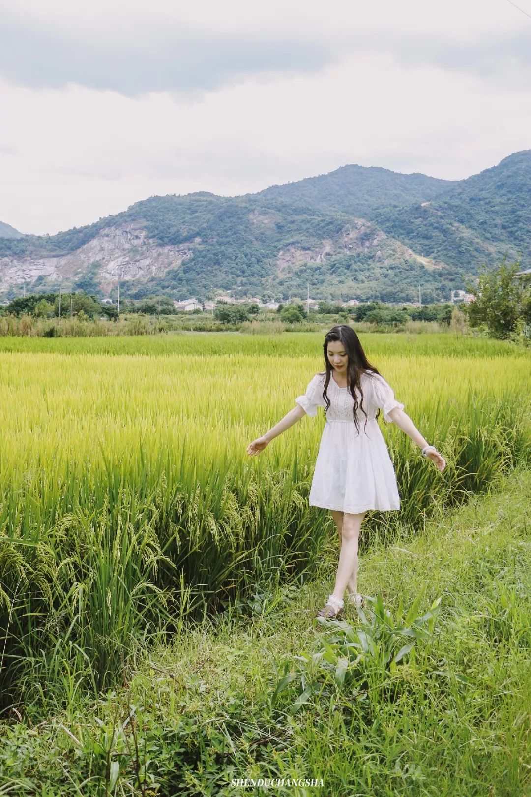 长沙秋季旅游景点推荐,长沙旅游攻略必玩的十大景点推荐