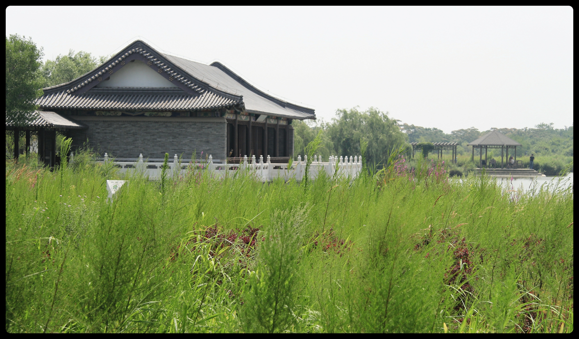 华北第一大海岛,菩提岛历史