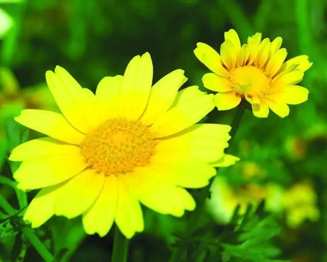 男子家门口被人堵住,男生晚上回家被人尾随怎么自救