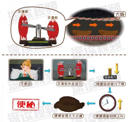 减肥运动期间为啥总是便秘,减肥期间便秘了怎么办