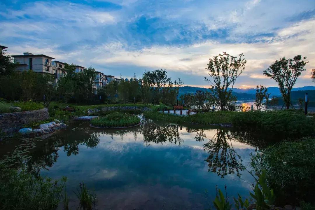 代驾揭秘豪车,代驾豪车真实视频