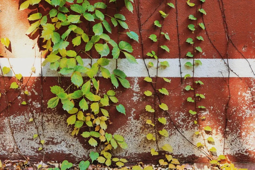 想去大连了,还有人想去大连吗