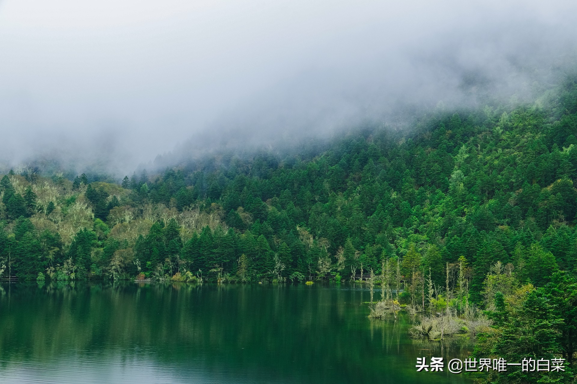康定情歌川西旅游,318川西康定木格措