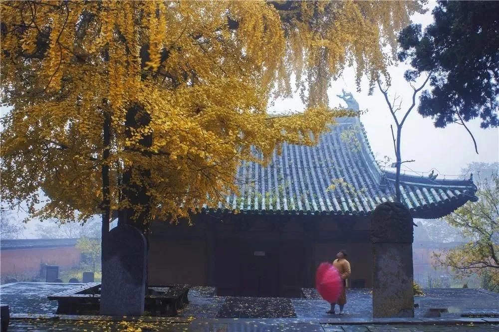 嵩山佛寺遍山坳：成千上百均有名
