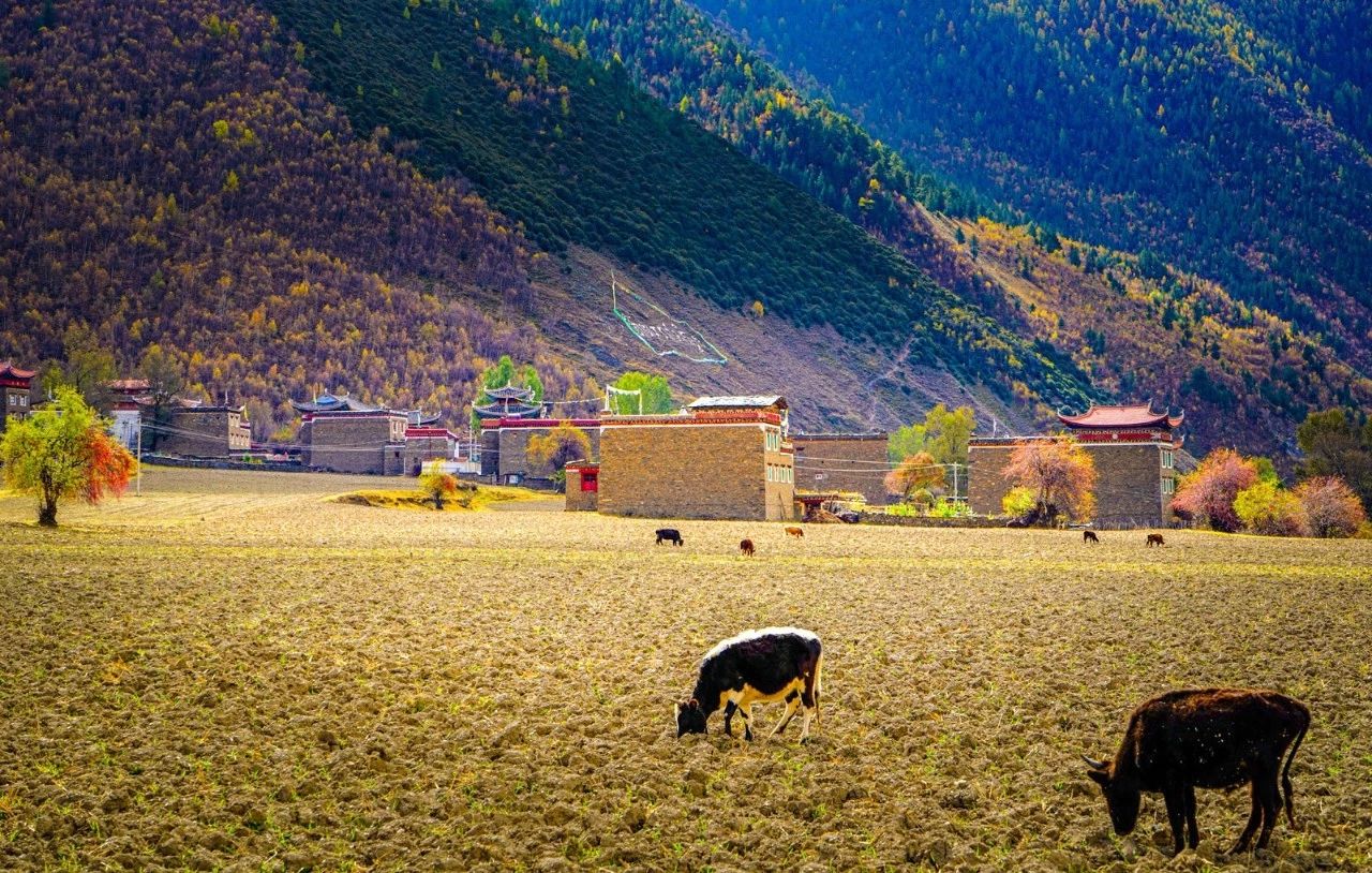 川西到底有什么魔力吸引着,川西为啥旅游资源多