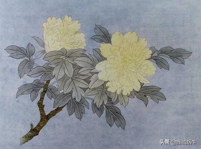 工笔牡丹姚黄上色步骤,姚黄牡丹工笔画法