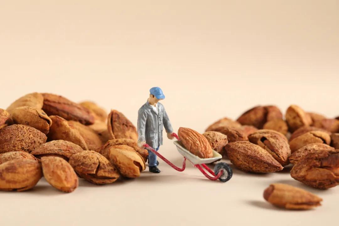 上海浦东新区川沙镇镇长,上海浦东新区川沙新镇党委书记