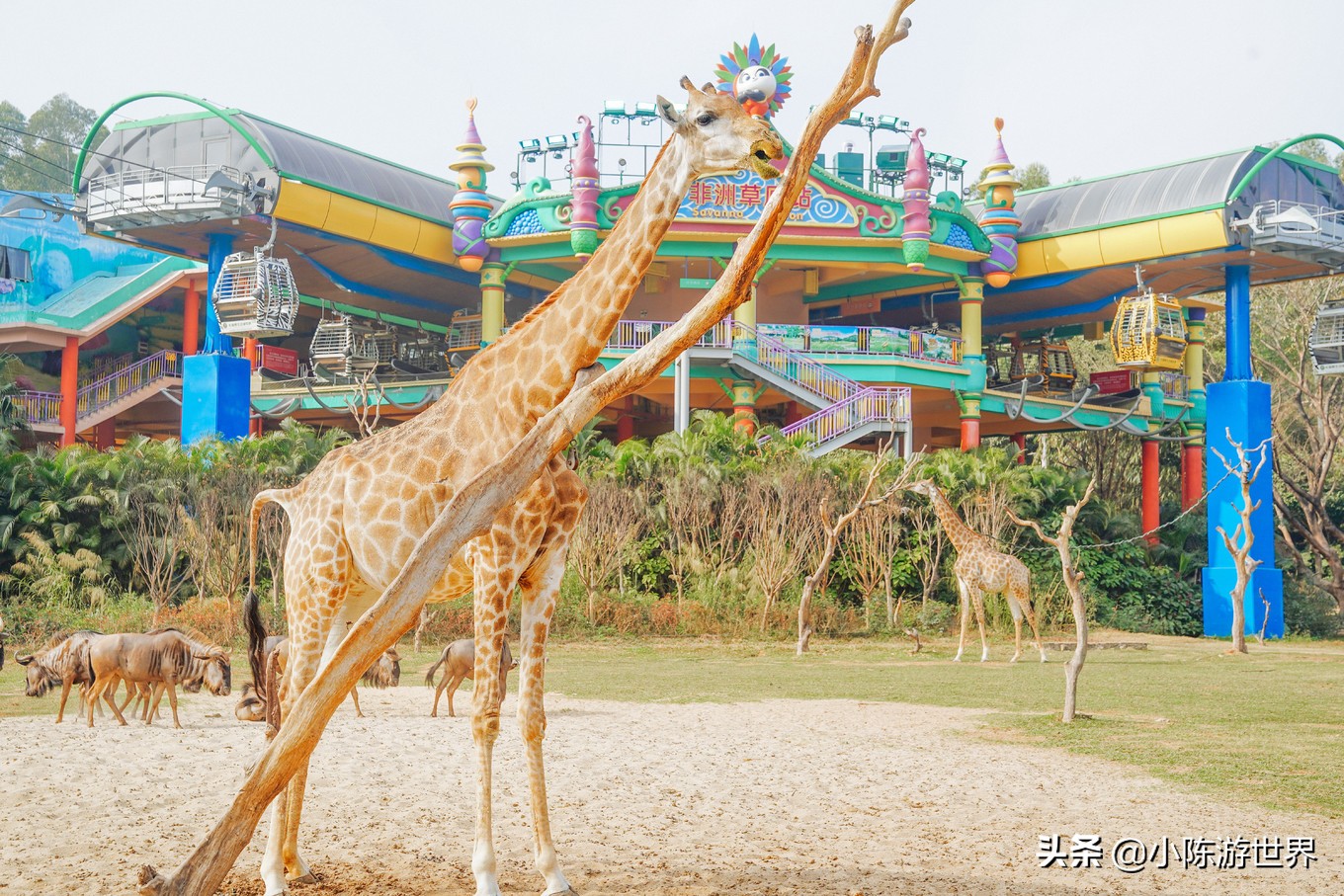 寒假广州长隆三天两夜亲子游攻略,带孩子广州长隆旅游攻略