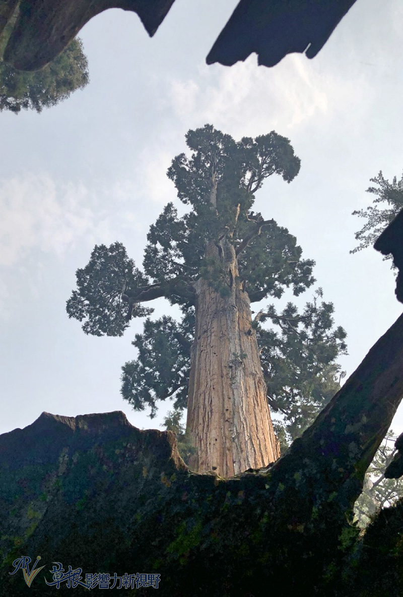 阿尔山森林公园住宿攻略,红杉树酒店住宿