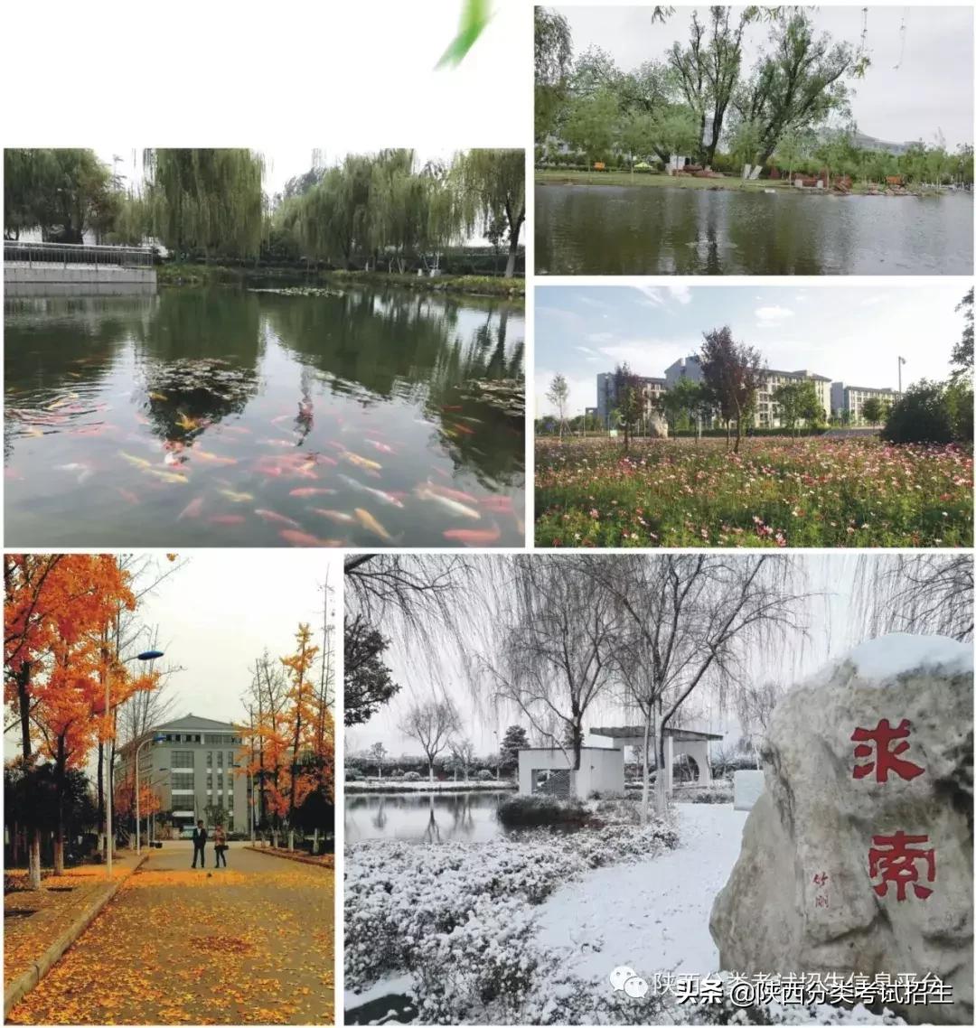 汉中职业技术学院招生名单,汉中职业技术学院招生简章封面