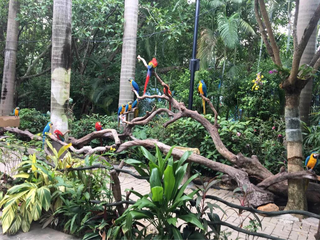 珠海长隆海洋王国亲子游玩攻略,带娃广州珠海长隆旅游攻略