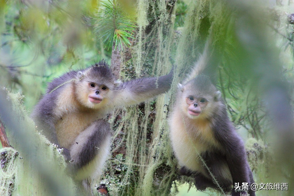云南极边之城旅游攻略,云南不费脑的旅游攻略