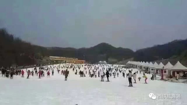 西峡新起点,西峡旅游最新信息