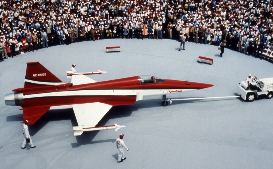 极富悲剧色彩的虎鲸,虎鲨悲剧