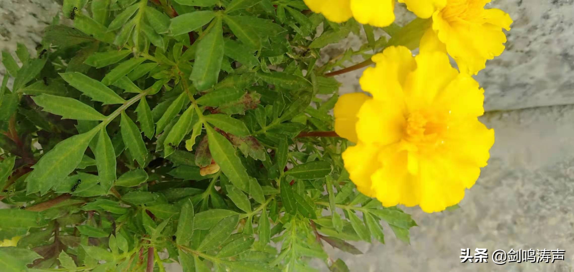 电脑刷机重装系统,电脑如何重装系统