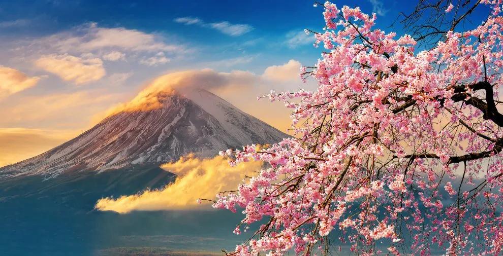 悉尼大学中国留学生入境最新政策,本科留学生入境最新政策