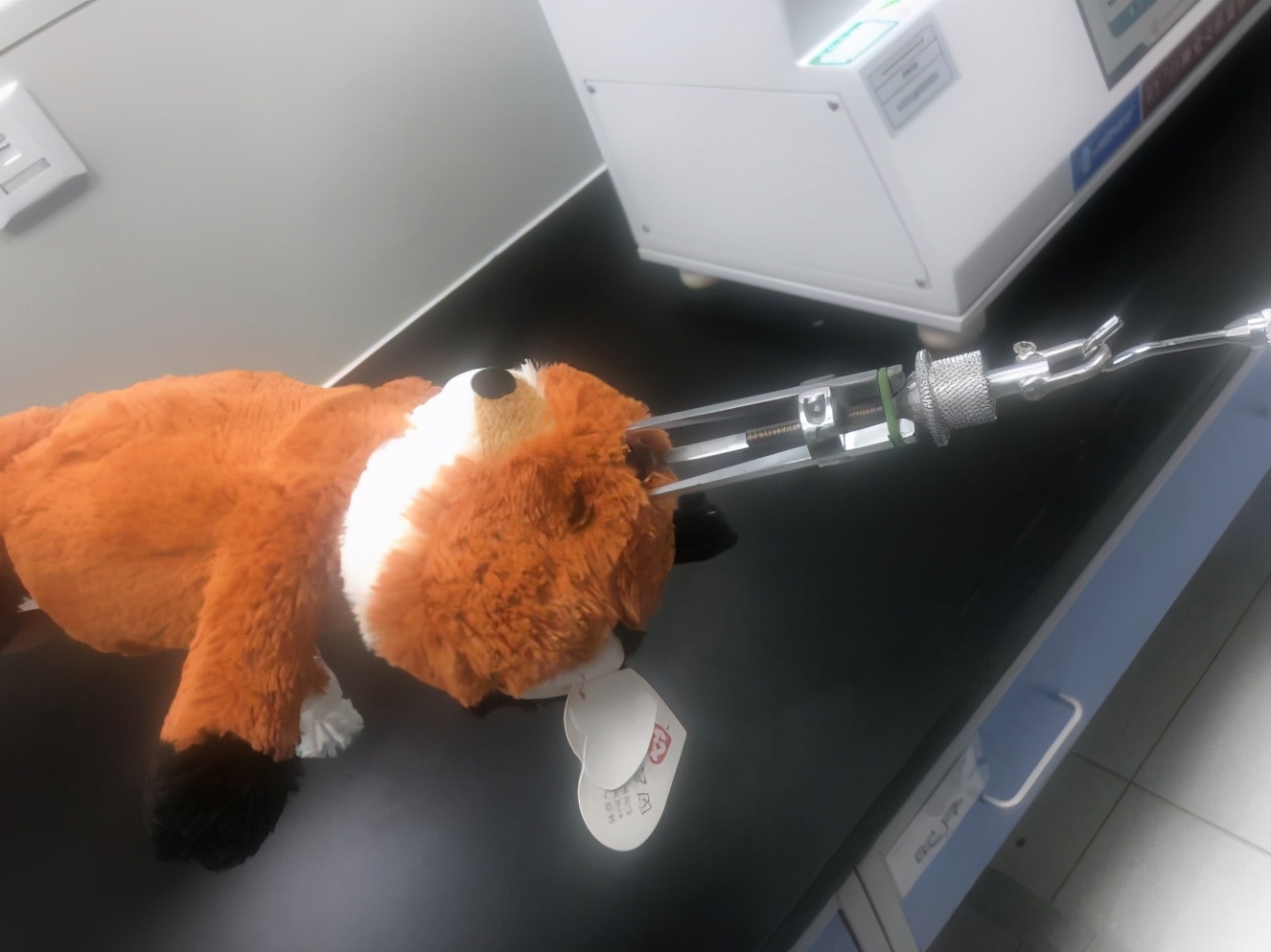 沈阳市铁西区消费者协会 (沈阳市新消费者协会)