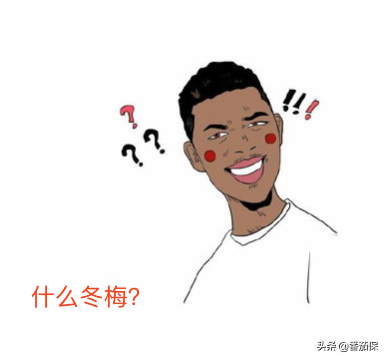 想了解香港保险推荐看什么书,香港保险资讯平台