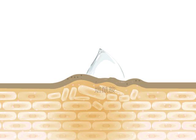 一看就会的平价护肤搭配,护肤界的网红搭配