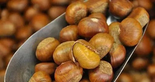 宁波市天一阁月湖景区2018年,宁波市天一阁月湖景区有什么活动