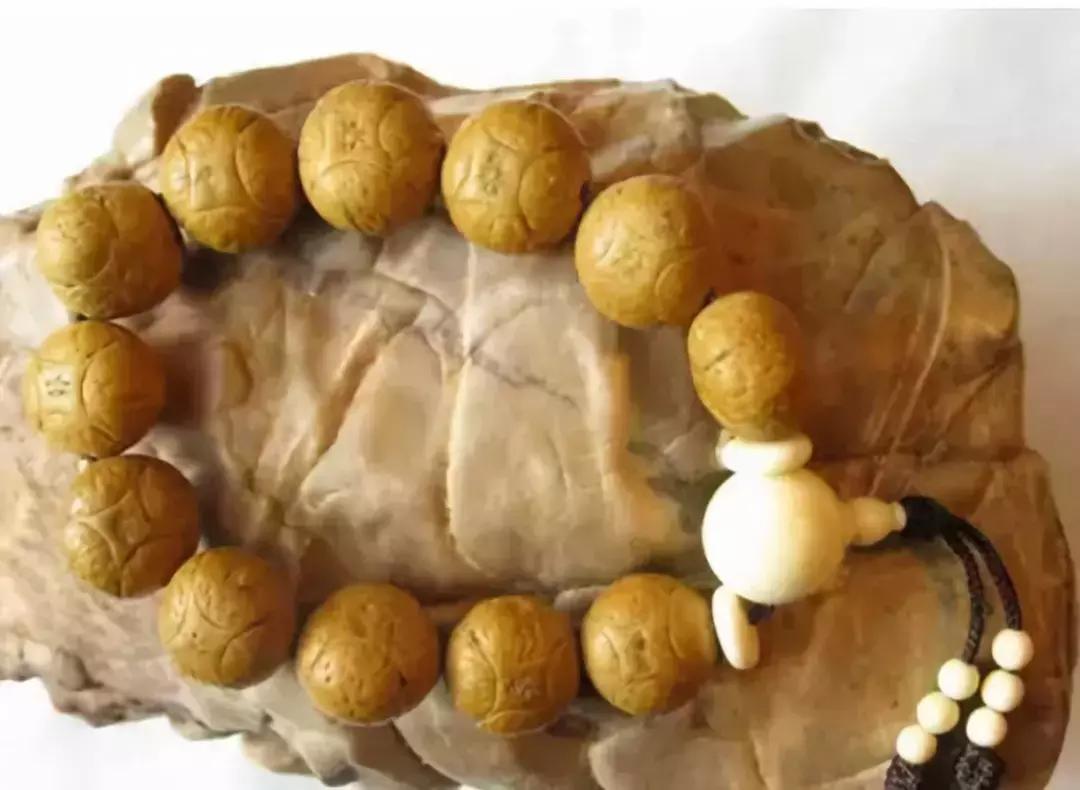 最全的菩提子图解太美了,最好的菩提子