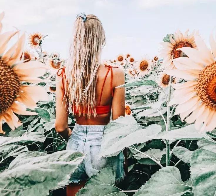 超实用英语口语1000句书,超实用英语口语500句